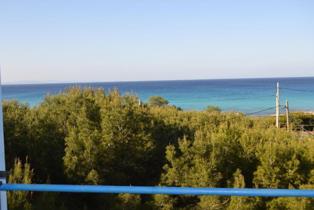 Apartamentos Cas Xurrac إس كالو الغرفة الصورة